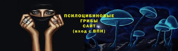 стаф Аркадак