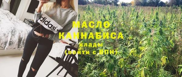 стаф Аркадак